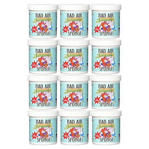 Bad Air Sponge Odor Neutralant Neutralizes and Absorbs Odors - 14oz (P -  Hard To Get Items