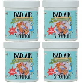 Bad Air Sponge Odor Absorber, Home & Pet Odor Eliminator, Bad Smell Eliminator for Indoor Air, 14 oz (Pack of 4)