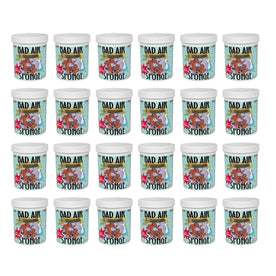 Bad Air Sponge with Deghost Formula, Odor Neutralizer & Eliminator, 14 Ounces (Pack of 24)