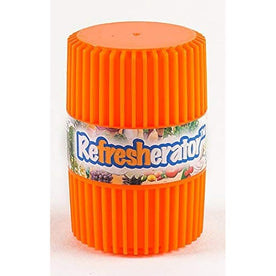 SafeNDry Refresherator Refrigerator and Freezer Odor Eliminator (1 Year Supply)