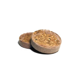 Coconut Seed Plug (24 Pack) with Devault Ugro Rhiza Enriched Seed Starter