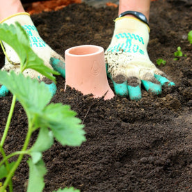 Terracotta Watering System by Growoya