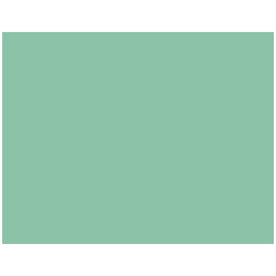 American Standard Color Replacement Plastic Toilet Bolt Caps - Set of 2 - Ming Green