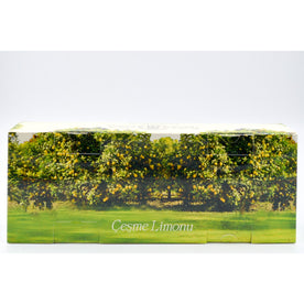 Eyup Sabri Tuncer Essential Travel Kit Set - 5 Piece, TSA Approved (Cesme Lemon / Wild Fig)