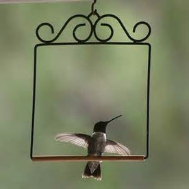 Pop's Hummingbird Swing Brown