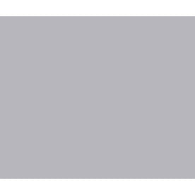 Norris Color Replacement Plastic Toilet Bolt Caps - Set of 2 - Sterling Silver